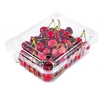 Disposable PET fresh fruit packaging  cherry tomatoes blister container clamshell packaging wholesale