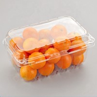 Disposable Plastic clamshell Fruit Box Fruit Clamshell Fruit Container  Salad Punnet Packaging Box