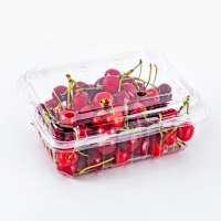 Food grade PET clear plastic vegetable packaging box  fresh fruit export clamshell